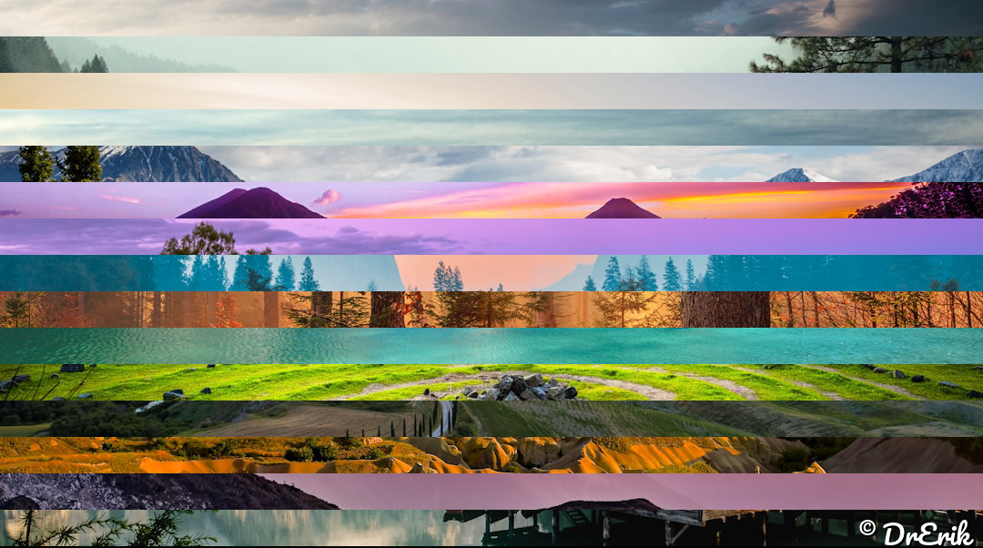 Die Welt in Schnipseln